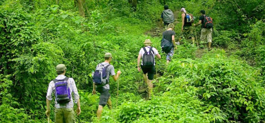 Ninh Binh: Cuc Phuong National Park 1 Day Small Group - How the Pickup and Ride Sets the Pace