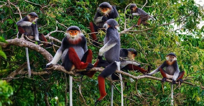 Ninh Binh : Cuc Phuong National Park One Day Group Tour - Key Things I’d Highlight Before You Go