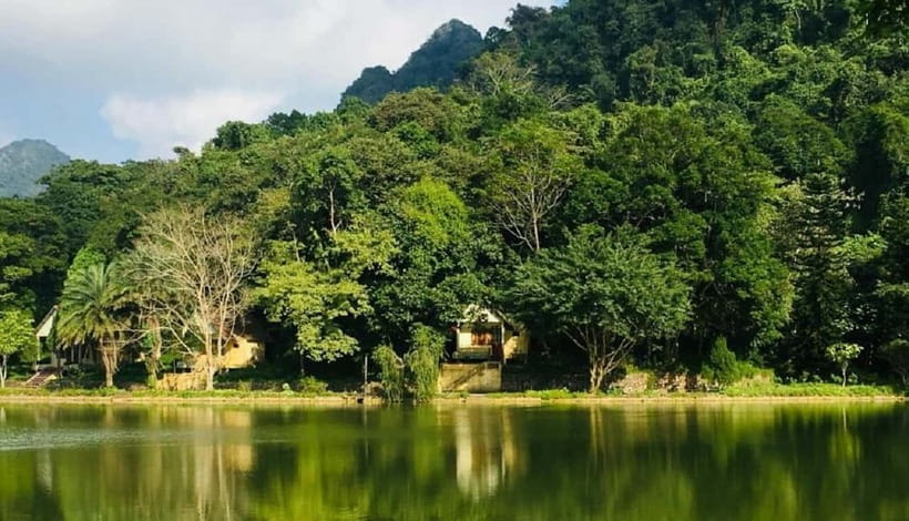 Ninh Binh : Cuc Phuong National Park One Day Group Tour - A Full-Day Rhythm: 08:30 Pickup to 16:30 Return