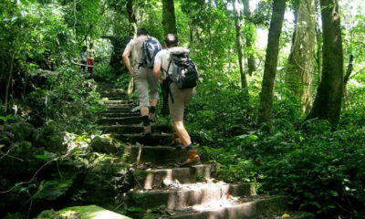 Ninh Binh : Cuc Phuong National Park One Day Group Tour - Primate Rescue Center: Where Your Time Feels Purposeful