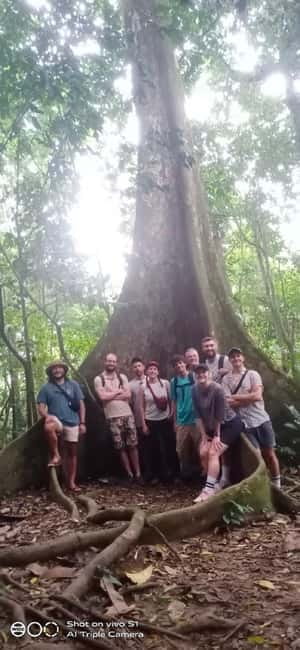 Ninh Binh : Cuc Phuong National Park One Day Group Tour - Prehistoric Man Cave: History Inside the Rock