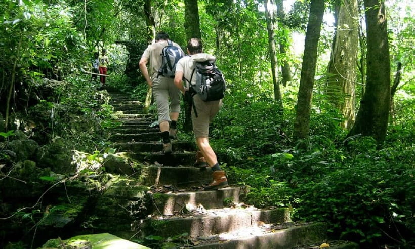 Ninh Binh : Cuc Phuong National Park One Day Group Tour - Primate Rescue Center: Where Your Time Feels Purposeful