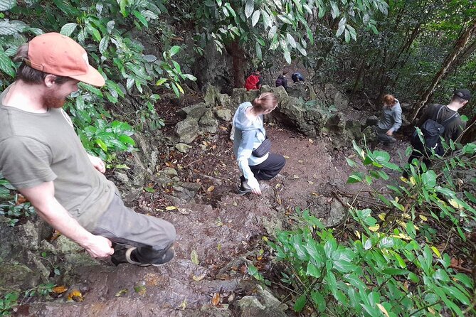Ninh Binh: Cuc Phuong Natonal Park, Jungle Hike, Caving, Guide - Lunch near the park: simple, included timing, and what it costs