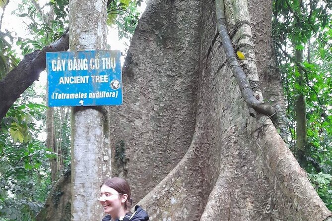 Ninh Binh: Cuc Phuong Natonal Park, Jungle Hike, Caving, Guide - What to bring (so the day feels easy, not annoying)