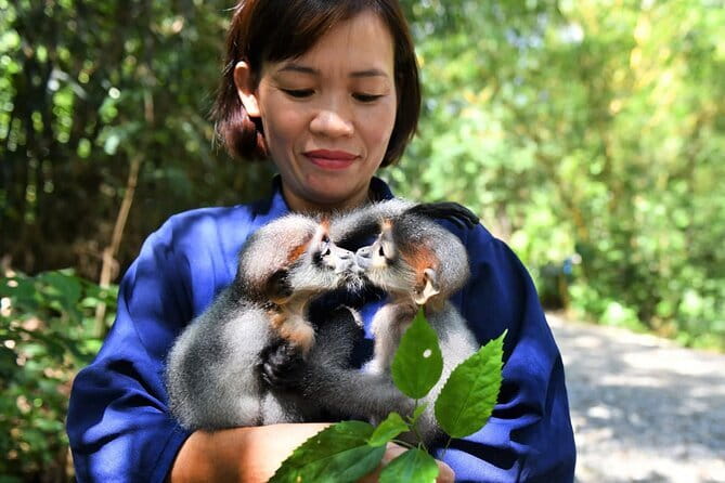 Ninh Binh One Day Cuc Phuong National Park Small Group Tour - Key highlights you’ll feel on the day