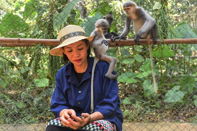 Ninh Binh One Day Cuc Phuong National Park Small Group Tour - Cuc Phuong in One Day: the 8:30 start and steady rhythm