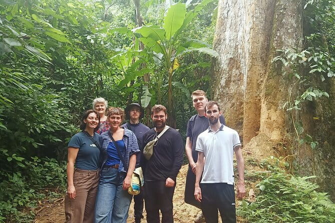 Ninh Binh One Day Cuc Phuong National Park Small Group Tour - Lunch and primary-forest drive: eating well without losing the day