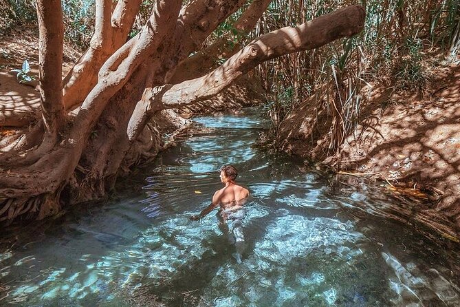 Nitmiluk National Park & Katherine Hot Springs - Full Day Tour - Katherine Hot Springs: the calm soak moment, and the Edith Falls backup