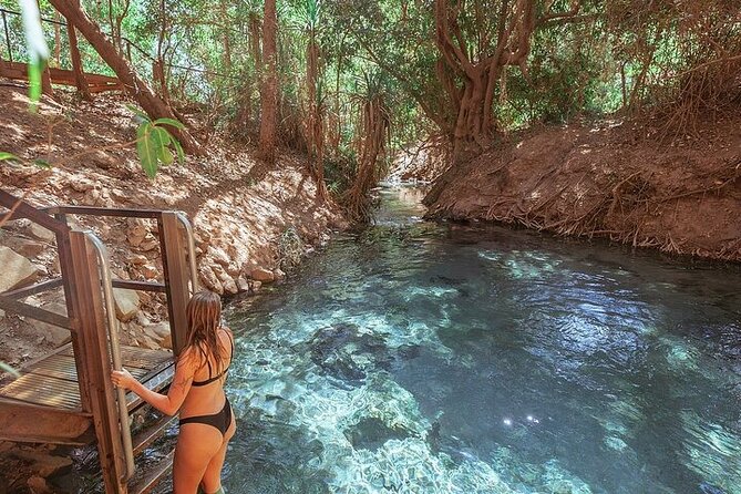 Nitmiluk National Park & Katherine Hot Springs - Full Day Tour - Price and value: what the $429.63 buys you in the real world