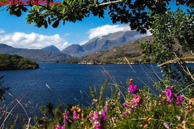 NO 1 Ring of Kerry Tour inc Killarney Lakes & National Park - Moll’s Gap and Ladies View: the camera-friendly payoff