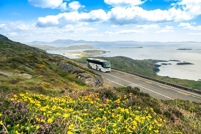 NO 1 Ring of Kerry Tour inc Killarney Lakes & National Park - Killarney National Park: why the park matters on this route