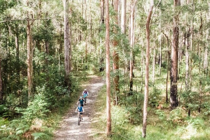 Noosa eMtn Bike Tour: Exploring a National Park on Fun MTB Trails - Key Things That Make This Noosa eMTB Tour Work