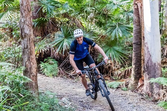 Noosa eMtn Bike Tour: Exploring a National Park on Fun MTB Trails - Entering the Wooroi Trail Network: Flow Trails, Real Trees
