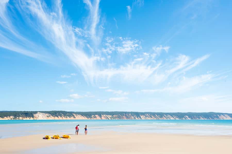 Noosa: Epic Ocean Kayak with Dolphins & 4WD Beach Adventure - Logistics that affect your day: timing, meeting point, and tides