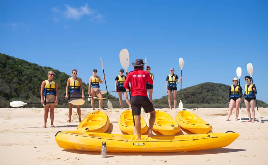 Noosa: Epic Ocean Kayak with Dolphins & 4WD Beach Adventure - Why this Noosa kayak plus 4WD beach day feels different