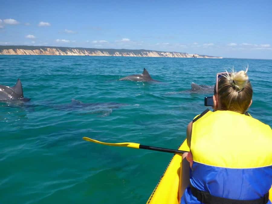 Noosa: Epic Ocean Kayak with Dolphins & 4WD Beach Adventure - Launching sea kayaks at Double Island Point and Honeymoon Bay