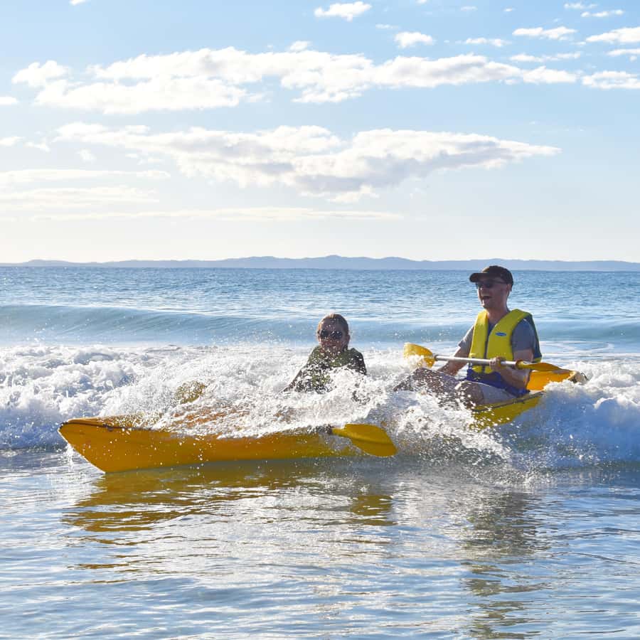 Noosa: Epic Ocean Kayak with Dolphins & 4WD Beach Adventure - Wildlife chances: dolphins, turtles, stingrays, manta rays, and whales