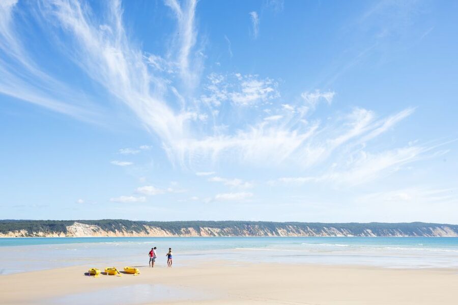Noosa: Epic Ocean Kayak with Dolphins & 4WD Beach Adventure - The ocean reality check: waves, safety, and being comfortable in swell
