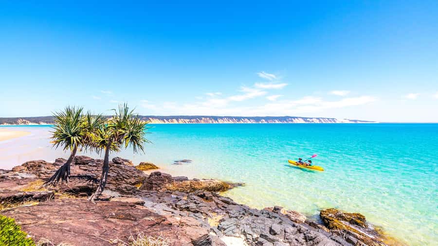 Noosa: Epic Ocean Kayak with Dolphins & 4WD Beach Adventure - Value for $118: what’s included and what that really saves you
