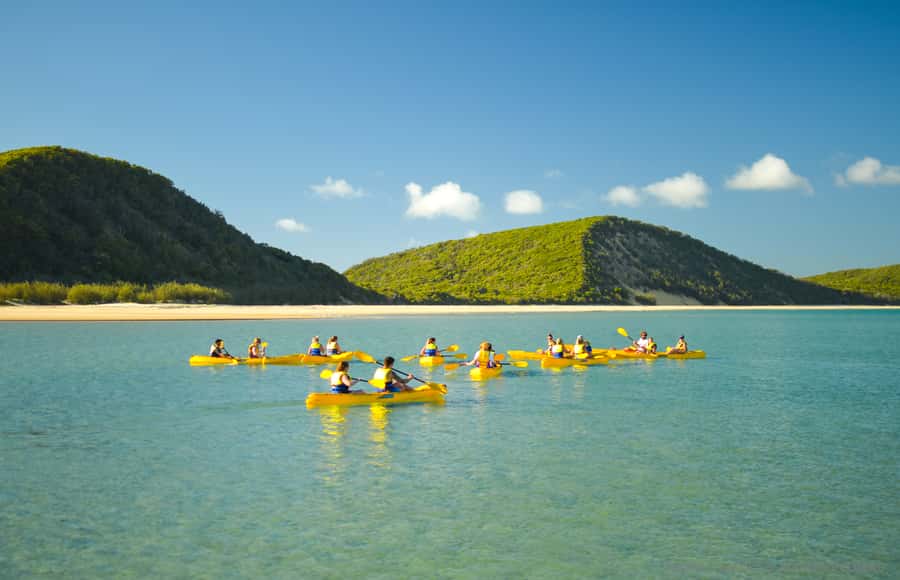 Noosa: Epic Ocean Kayak with Dolphins & 4WD Beach Adventure - What to bring (so you don’t spend the day regretting it)