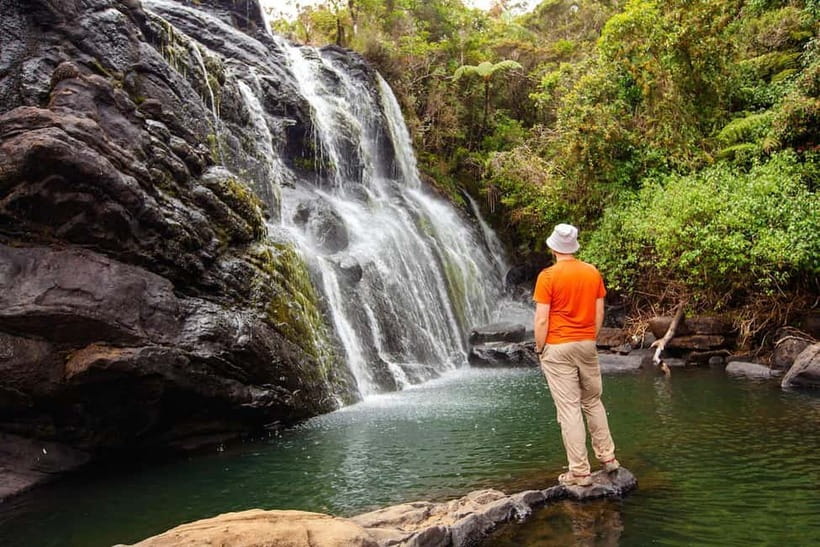 Nuwara Eliya to Horton Plains, Strawberry& Ambewela Farm TUK - Highland Day Trip Checklist: What Makes This One Work