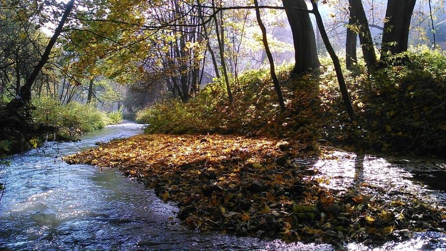 Ojcow National Park: Full-Day Trip from Krakow - Who Should Book This Ojcow Tour (and Who Should Skip It)