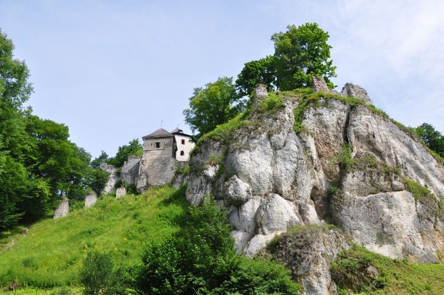 Ojcow National Park: Full-Day Trip from Krakow - The Woods to Krakow Gate: Expect Rough Park Ground