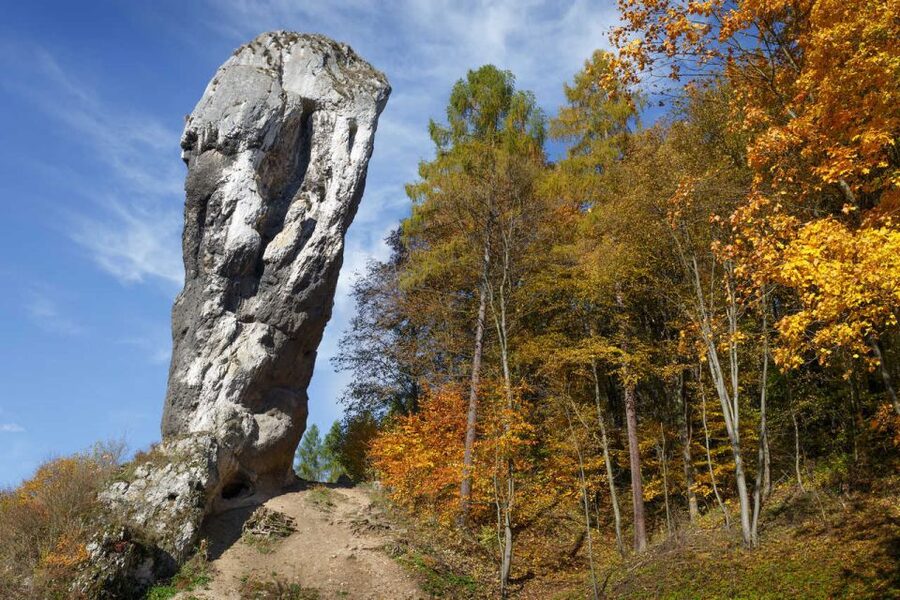 Ojcow National Park: Full-Day Trip from Krakow - Where the Park Opens Up: Gothic Ruins Near the Rock Formation