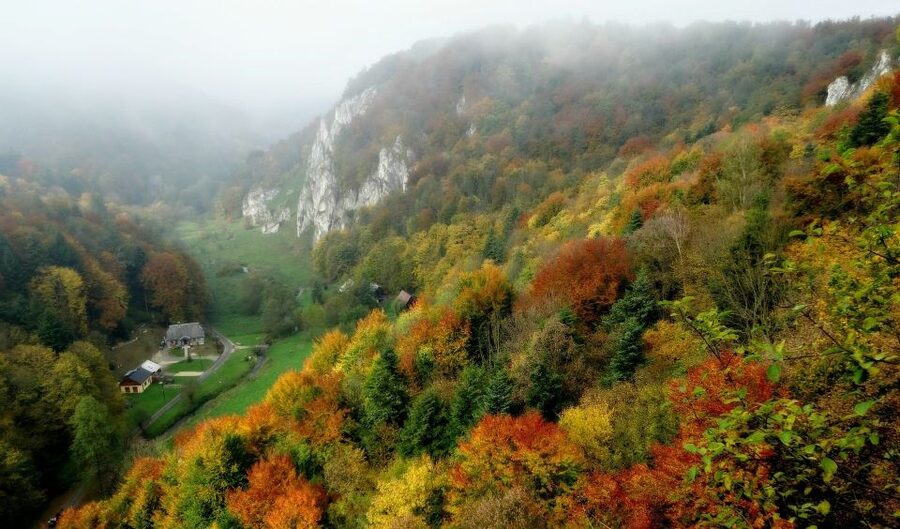 Ojcow National Park: Full-Day Trip from Krakow - Hercules’ Club Boulder: A Quick Stop with Great Photo Energy