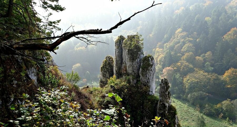 Ojcow National Park: Full-Day Trip from Krakow - Transport, Group Size, and Guide Quality You’ll Feel in the Flow
