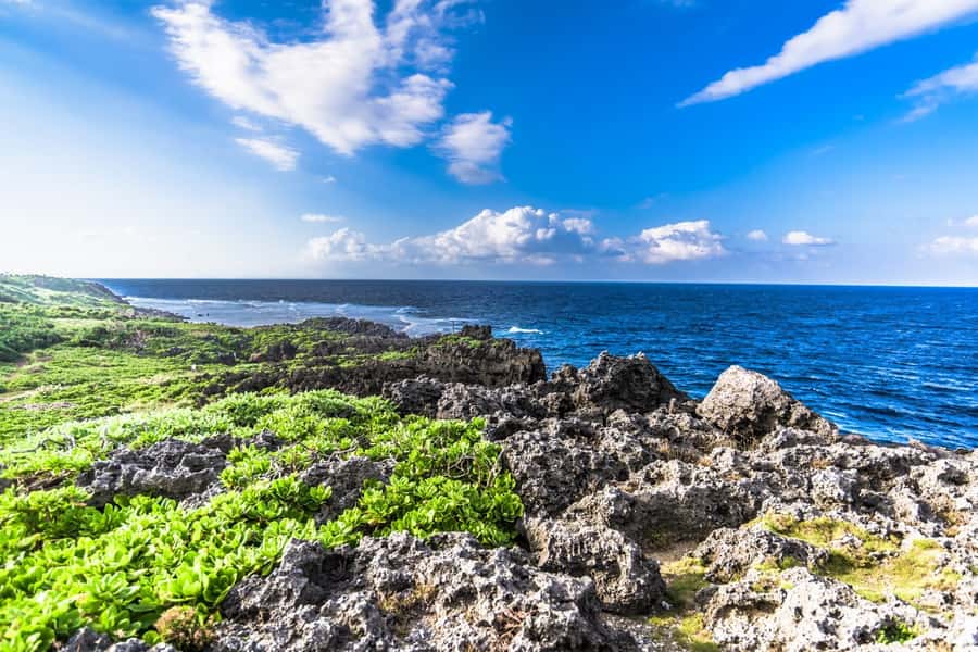Okinawa: Full-Day Bus Tour to Yanbaru National Park - Cape Hedo: the northern tip view that anchors the whole day