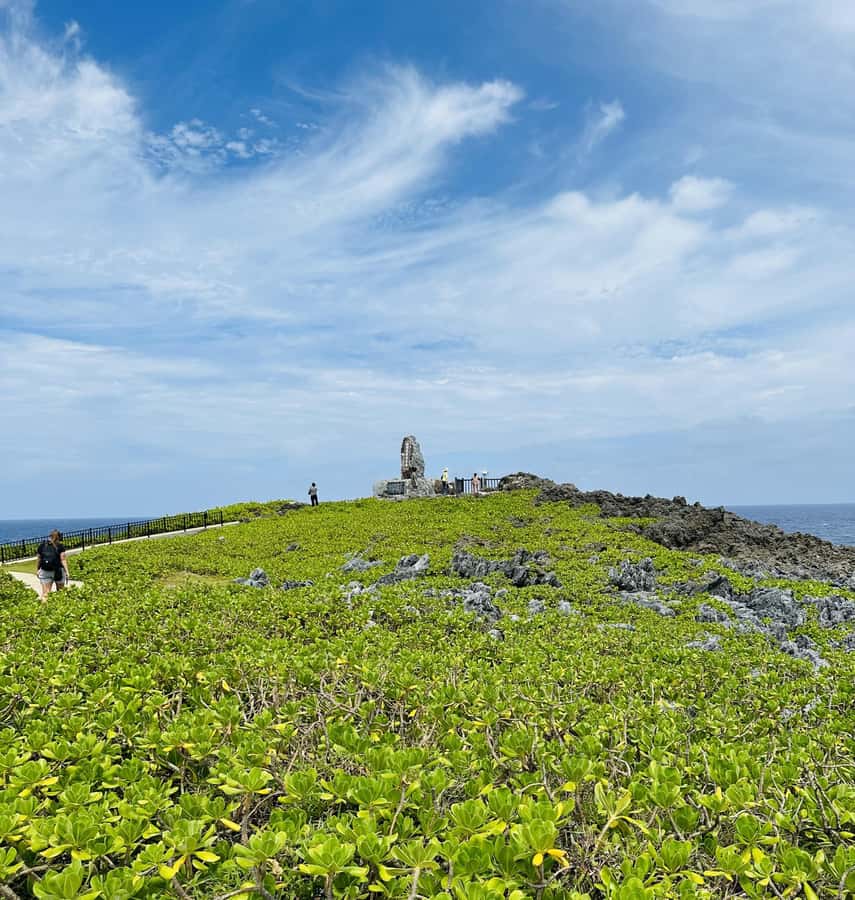 Okinawa: Full-Day Bus Tour to Yanbaru National Park - Okinawa rail ecology: where spotting becomes part science, part luck
