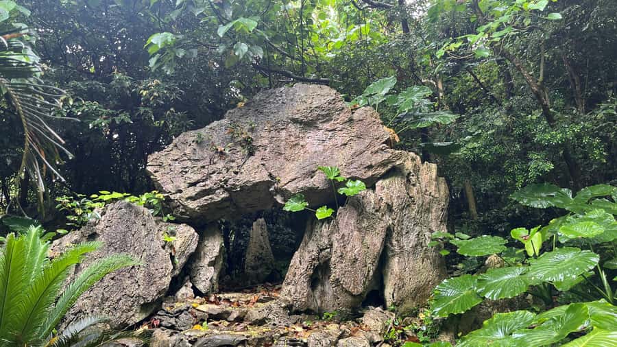 Okinawa: Full-Day Bus Tour to Yanbaru National Park - Return trip and the timing reality check