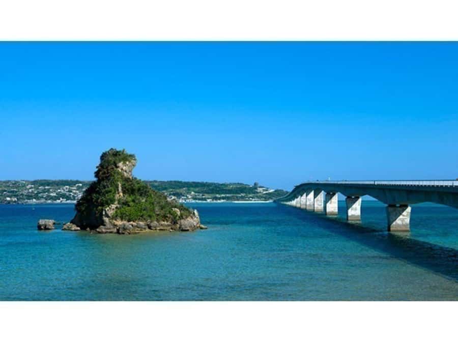 Okinawa: Full-Day Bus Tour to Yanbaru National Park - Price and value: why $98 can be a smart deal here