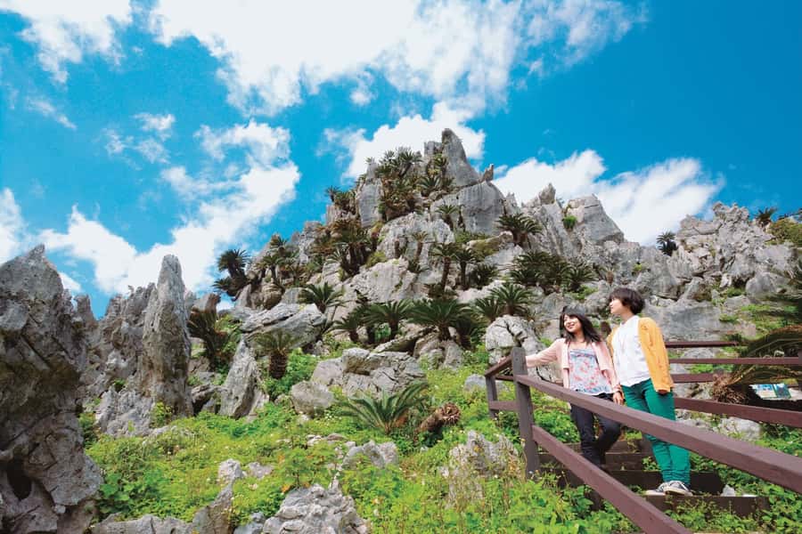 Okinawa: Full-Day Bus Tour to Yanbaru National Park - The road north: what the 11 hours actually feel like