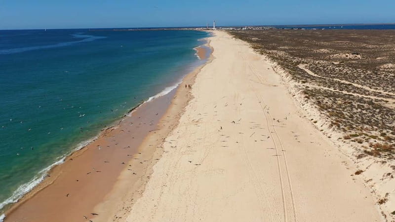 Olhão: Ria Formosa National Park Boat Cruise - Armona Island and Desert Beach in Summer: Your First Real Taste of Sand-and-Water