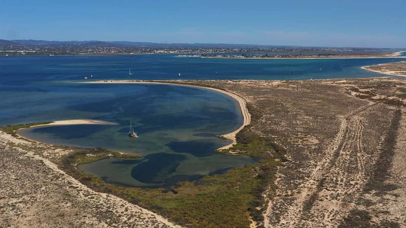Olhão: Ria Formosa National Park Boat Cruise - Culatra Island: Fishermen’s Island Life in a Short, Focused Window