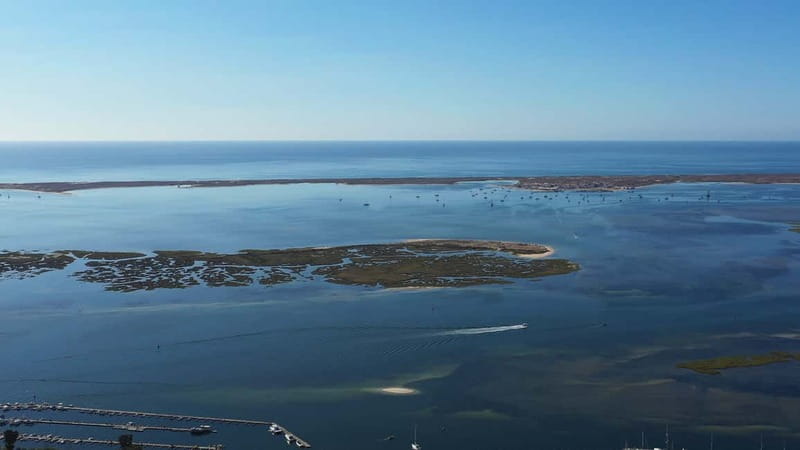 Olhão: Ria Formosa National Park Boat Cruise - Price and Value: What $34 Covers (and Why It’s Not Just a Boat Ride)