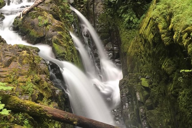 Olympic National Park Day Tour from Seattle - Key Things This Olympic Day Tour Does Especially Well