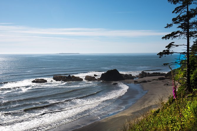 Olympic National Park Day Tour from Seattle - Lake Crescent and Marymere Falls Options: Clear Water and Old Growth Footsteps