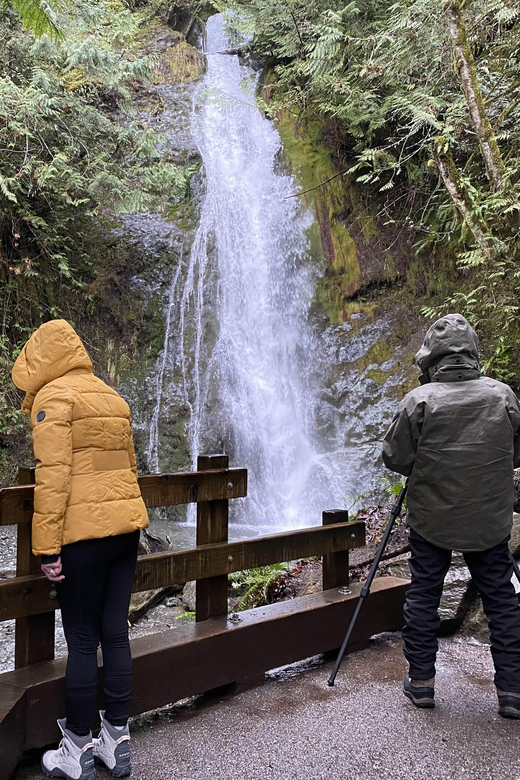Olympic National Park: Half-Day Tour - Key things I’d zero in on before booking