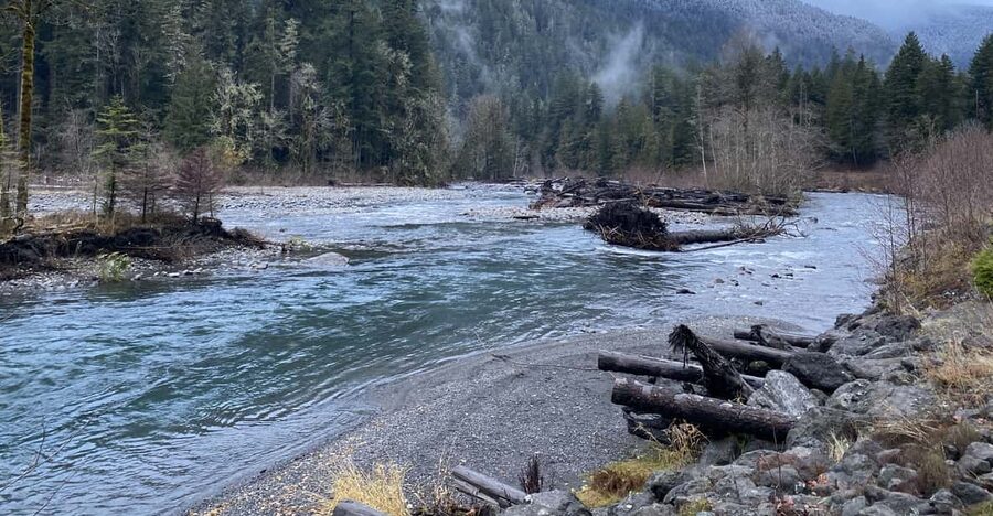 Olympic National Park: Half-Day Tour - A smart half-day Olympic start from Port Angeles