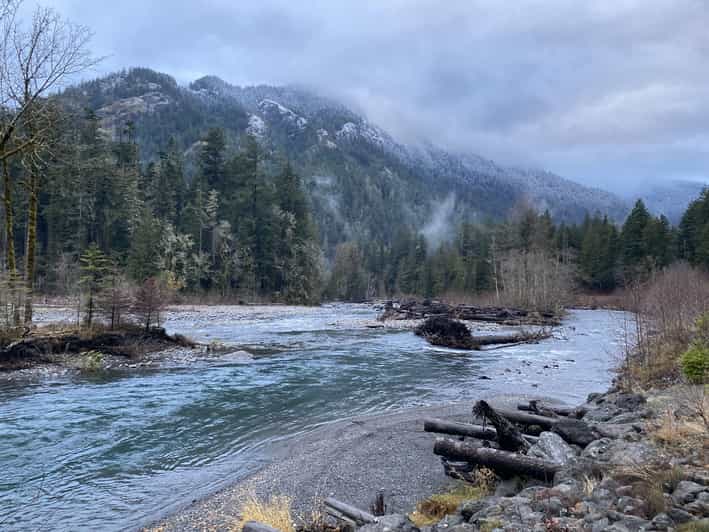 Olympic National Park: Half-Day Tour - Elwha River viewpoints: glacier-fed views with minimal effort