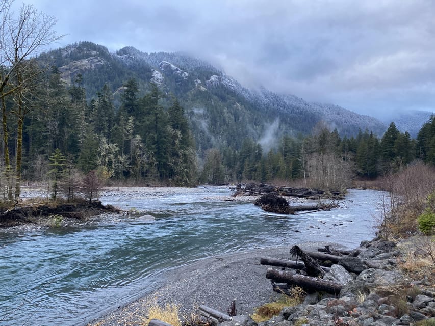 Olympic National Park: Half-Day Tour - Price check: what $110 buys you in a 4-hour format