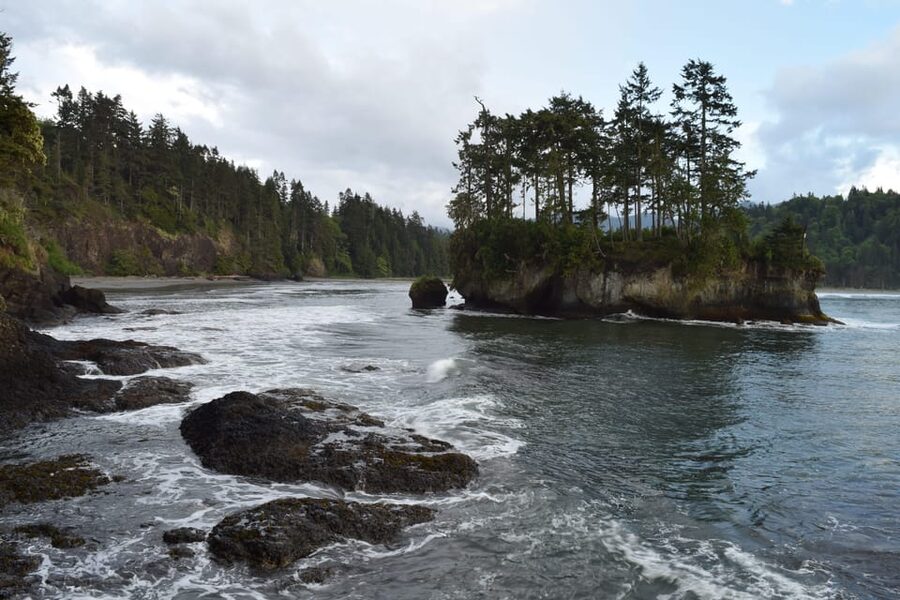 Olympic National Park: Half-Day Tour - Should you book the Olympic National Park half-day tour?