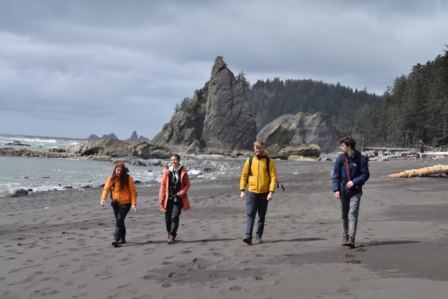 Olympic National Park: Hoh Rain Forest and Rialto Beach Tour - Who this is best for (and who should skip it)