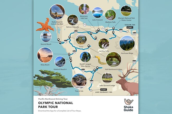 Olympic National Park Self-Guided Audio Tour - Why an audio tour works so well for Olympic National Park