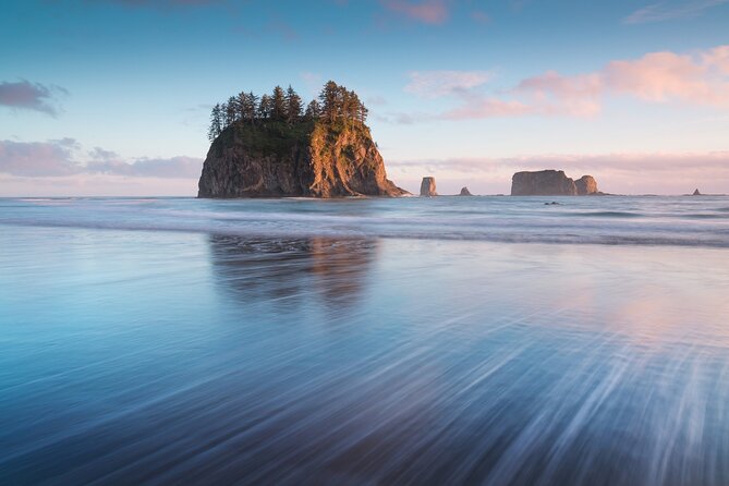 Olympic National Park Self-Guided Audio Tour - Stop-by-stop: forests, waterfalls, coasts, and the big views