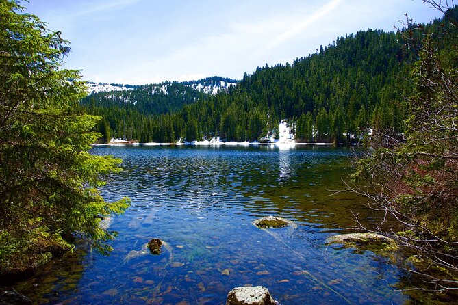 Olympic National Park Self-Guided Driving Audio Tour - Stop 1: Olympic National Park Visitor Center—get your bearings fast