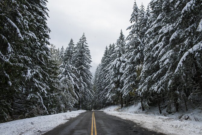 Olympic National Park Self-Guided Driving Audio Tour - Stops 3 and 4: Elwha River and Glines Canyon Dam Overlook